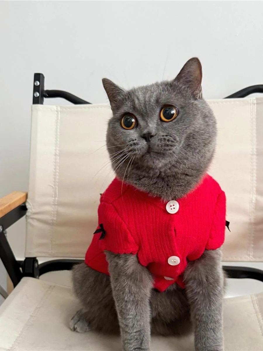 

Новый осенне-зимний свитер для собак: милый, теплый, повседневный, с золотисто-серебристым узором и объемными узлами...