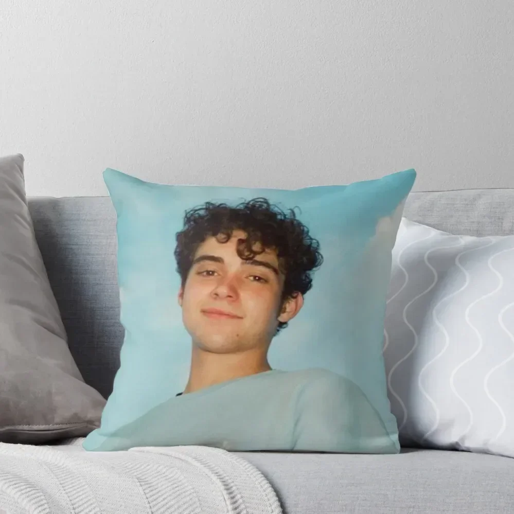 

joshua bassett Throw Pillow Sofa Cushions Covers ornamental pillows christmas ornaments 2025 pillow