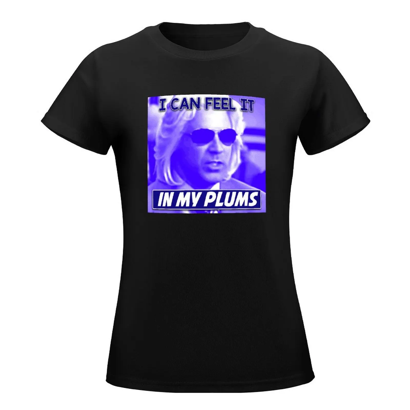 Ashley Schaeffer I Can Feel It In My Plums Kenny Powers T-Shirt anime funnys Woman fashion