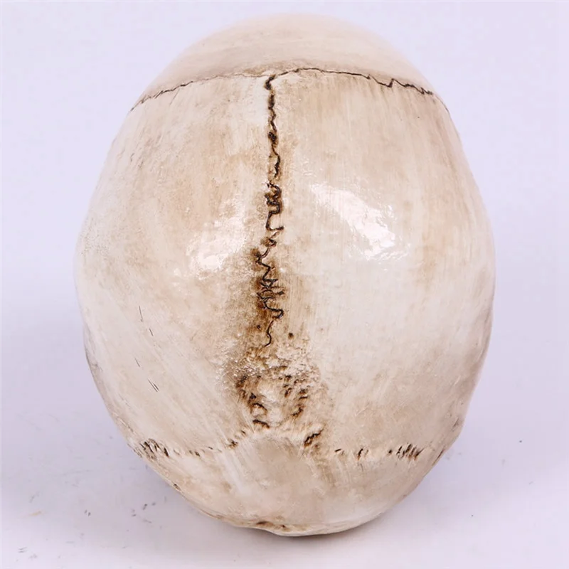 해골 장식 소품 해골 1:1 모델, 할로윈 스타일, 유령의 집, 홈 데코, 축제 용품