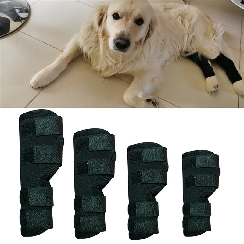 Pet Sports Knee Brace Dog Surgery Recovery Protection Joints Pet Knee Brace Pet Supplies Style Wear Resistant Comfortable