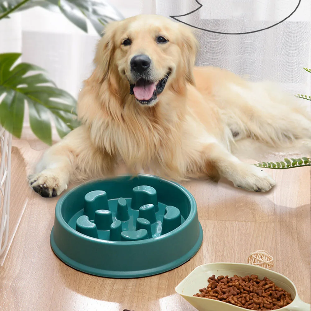 hash2305: La Soluzione Perfetta per il Pasto Lento del Tuo Cane