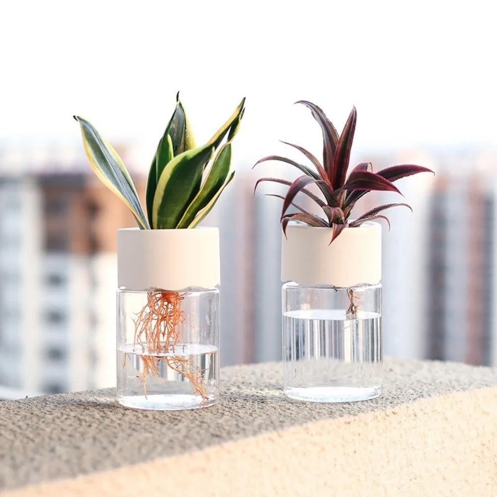 2pcs Plastic Hydroponic Flower Pot Simple Transparent Clear Plant Vase Minimalist Flower Holder Soilless Cultivation Pot