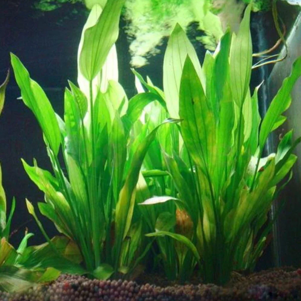 Plastic Manmade Water Plant Grass Green 15cm Height for Aquarium Simulation Artificial plants Decor akvaryum dekor