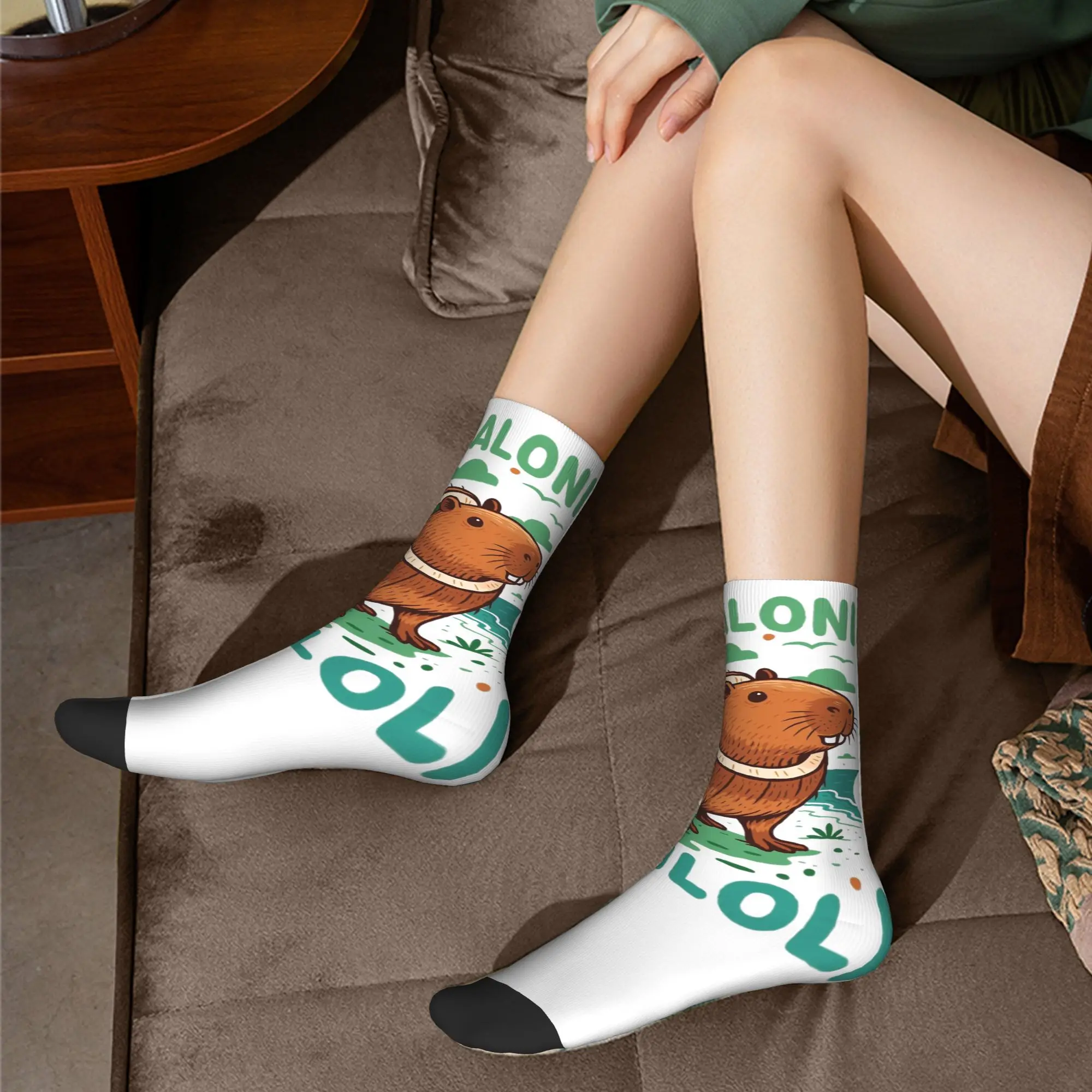 Burbaloni Luliloli Capybara 이탈리아 Brainrot 양말 남성용 재미있는 해피 양말 하라주쿠 가을 겨울 중간 튜브 스타킹 선물