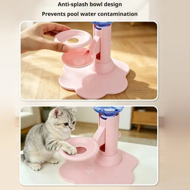 Felines and Small Dogs, Auto-Supply 650cc Bowl with Variable Base, ABS Build, Indoor Use KXRE