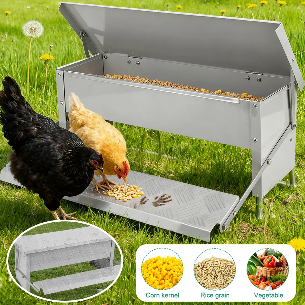

Автоматическая кормушка для кур с педальным механизмом, защита от грызунов, подходит для кур, бантамов, домашней птицы, фазанов и т.д.
