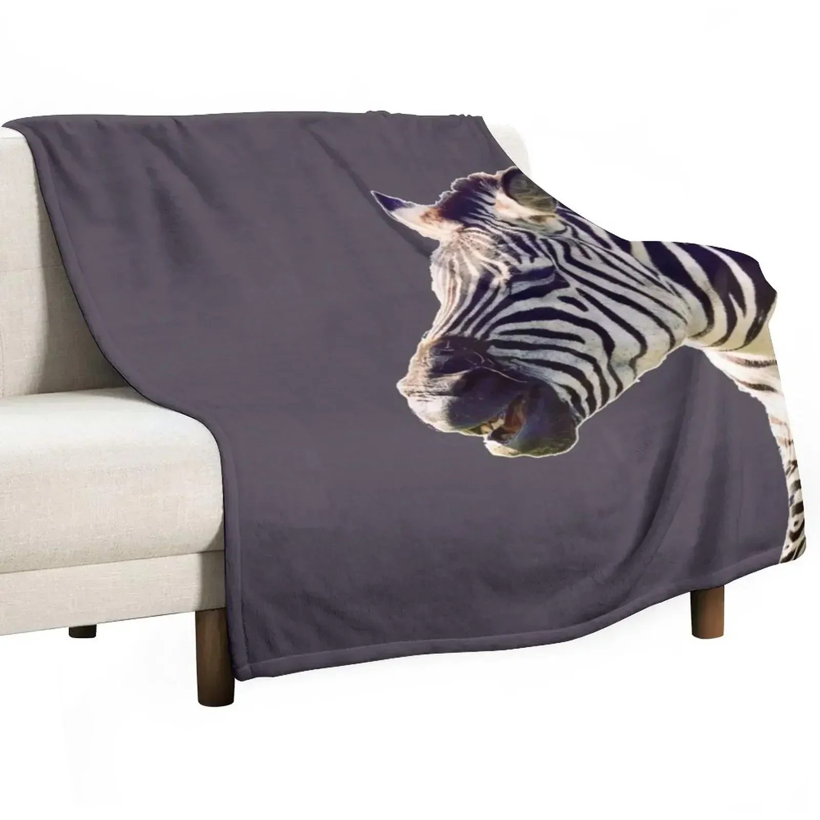 This zebra is having a real laugh Throw Blanket Summer Beddings Decorative Beds Blankets