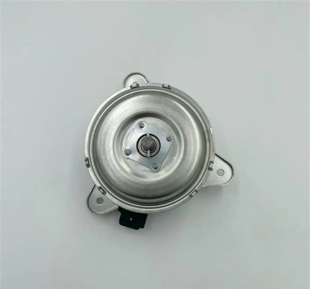 

двигатель вентилятора охлаждения для двигателя вентилятора охлаждения радиатора Peugeot 405 125315