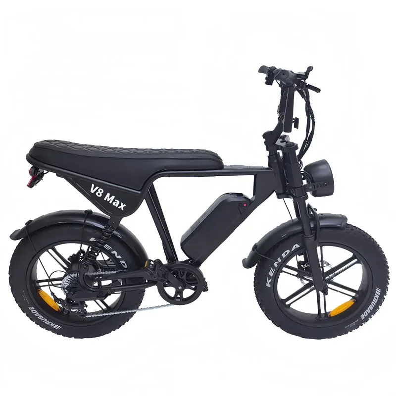STROVAN Hot Sales V8 Max Electric Mountain Bike 750W 48V Lithium Brushless Motor Full Suspension Offroad 20inch Fat Tire All