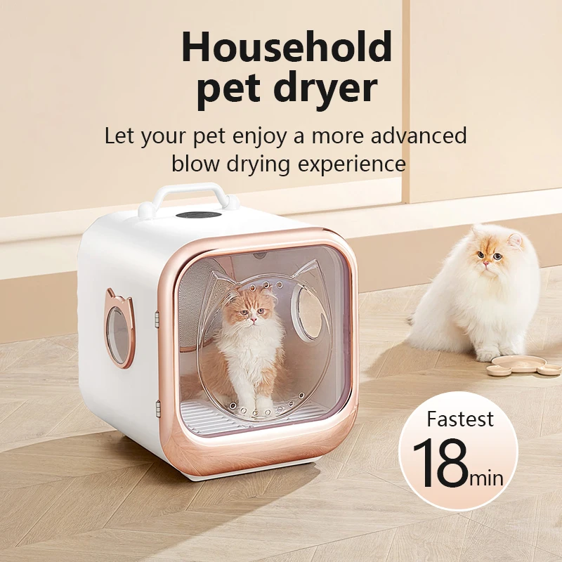 Pet Dryer Box Wholesale Factory Price Low Noise Smart Dog Automatic Pet Dryer Room for Small Animals 2000w Pet Hair Dryer