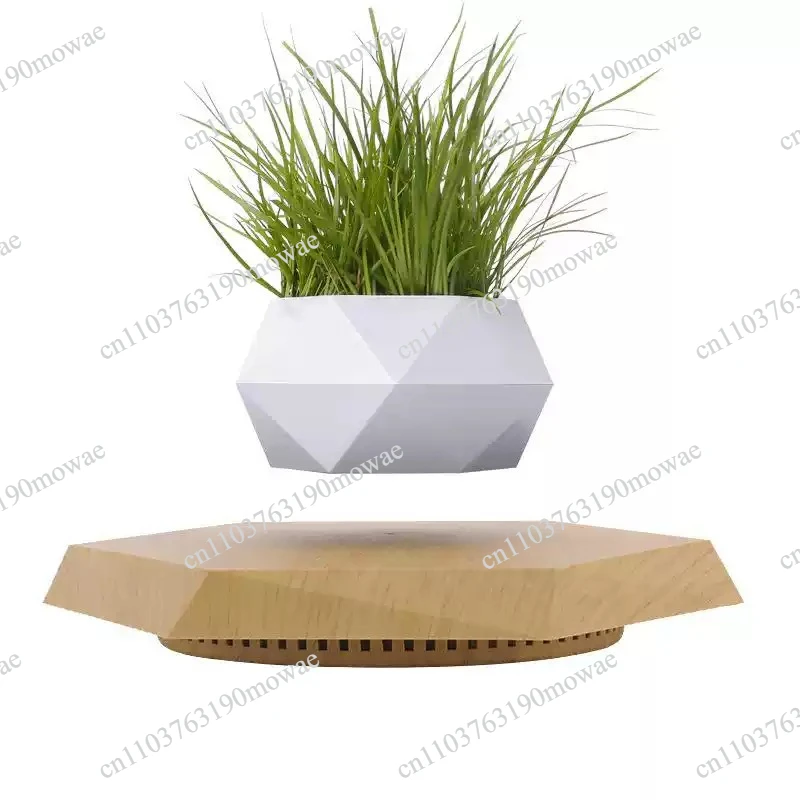 

Green Plastic Maglev Bonsai Pot for Flower Pot or Flower Pot