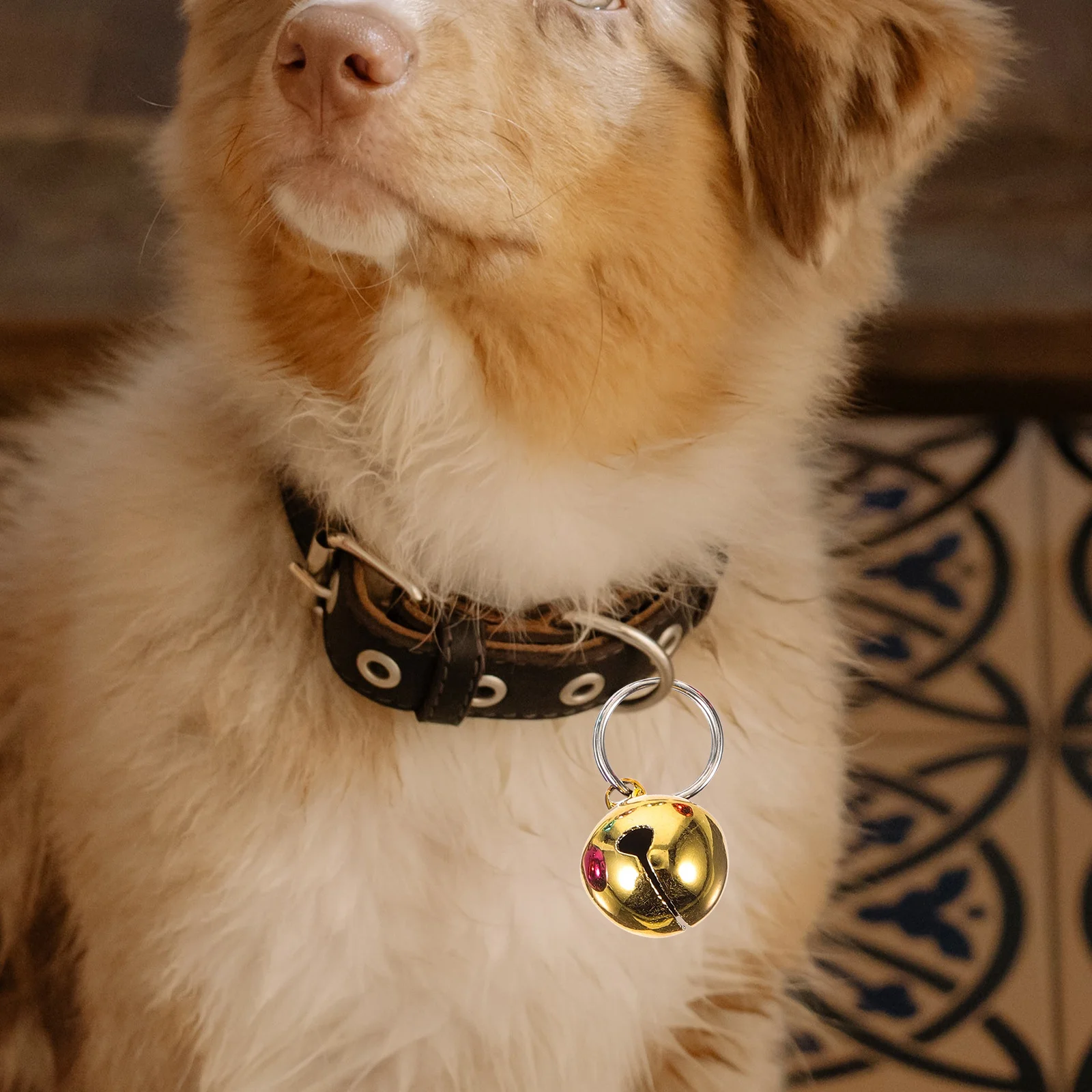 

6Pcs Portable Small Bells for Pets and Crafts Exquisite Metal Pendant Bells for Cat Dog Collars Cat Collar Accessories