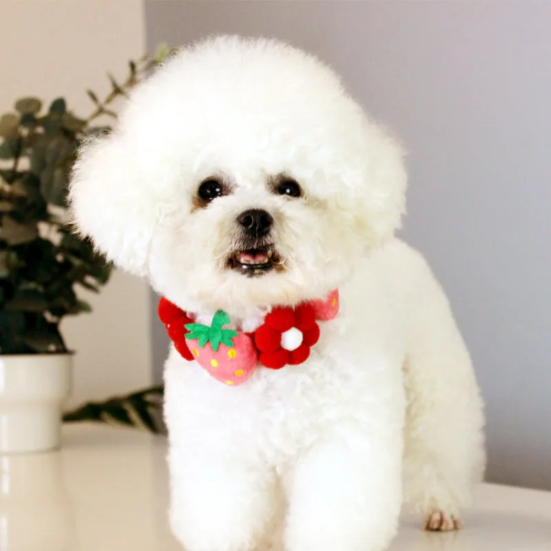 Dog Fruit Decorative Collar Pet Cat Strawberry Flower Collar Puppy Kitten Retriever Collar Cute Medium Large Dog Pet Accessories