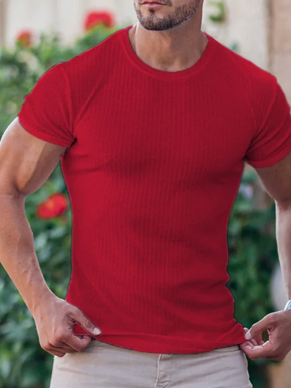 Men's Short Sleeve T-Shirt Summer Fitness Sportswear Casual round Neck Elastic Standard Fit Polyester Fiber Bright Thread