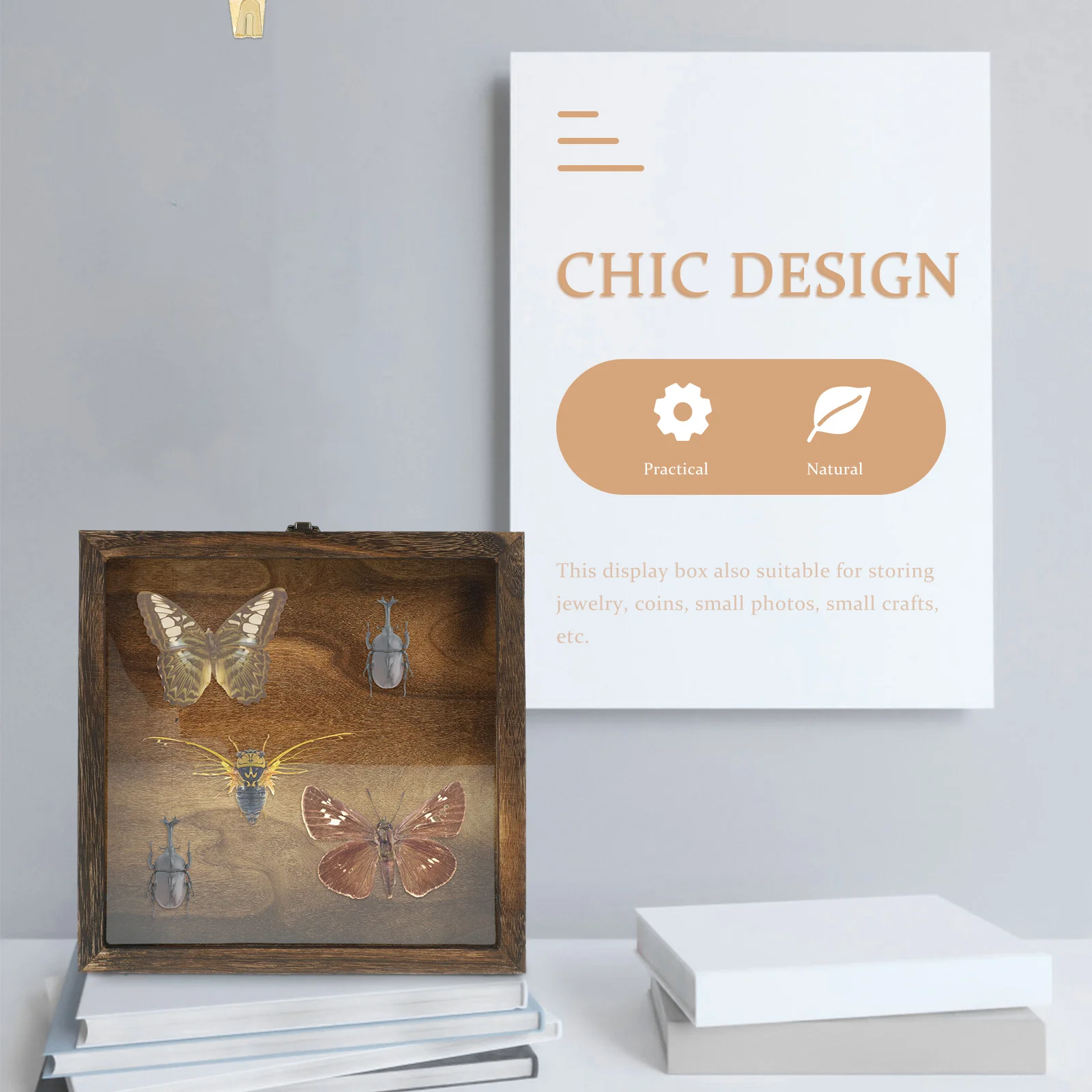 

Insect Specimen Display Case Wooden Display Box Reusable Large Space Specimen Collection Holder Wood Insect Showcase