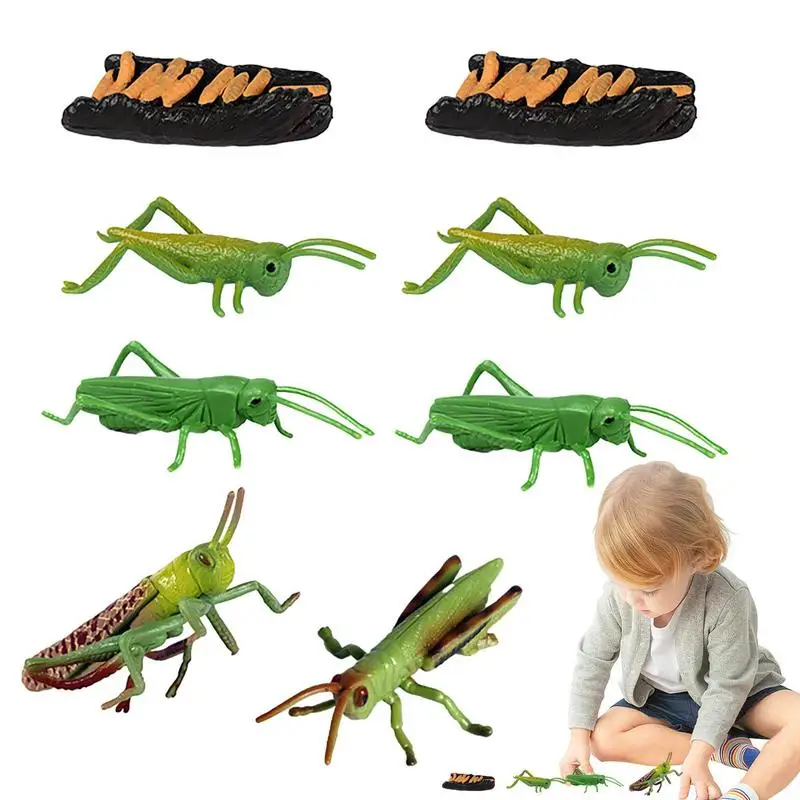 

Life Cycle Toys For Kids Growth Cycle Model Of Locust Party Favors 8 Pieces Mini Animal Toys Goodie Bag Fillers Learning Gifts