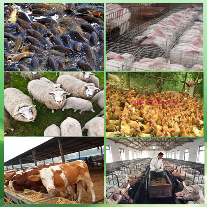 100-120 kg/h 4.5kw máquina de alimentação animal moinho de pelota multifuncional fabricação de pelota doméstico 125 tipo granulador de alimentação 220v/380v