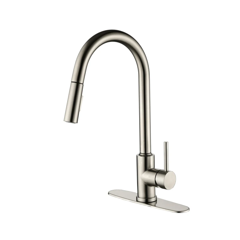 

Kitchen Faucet with Pull Down Sprayer