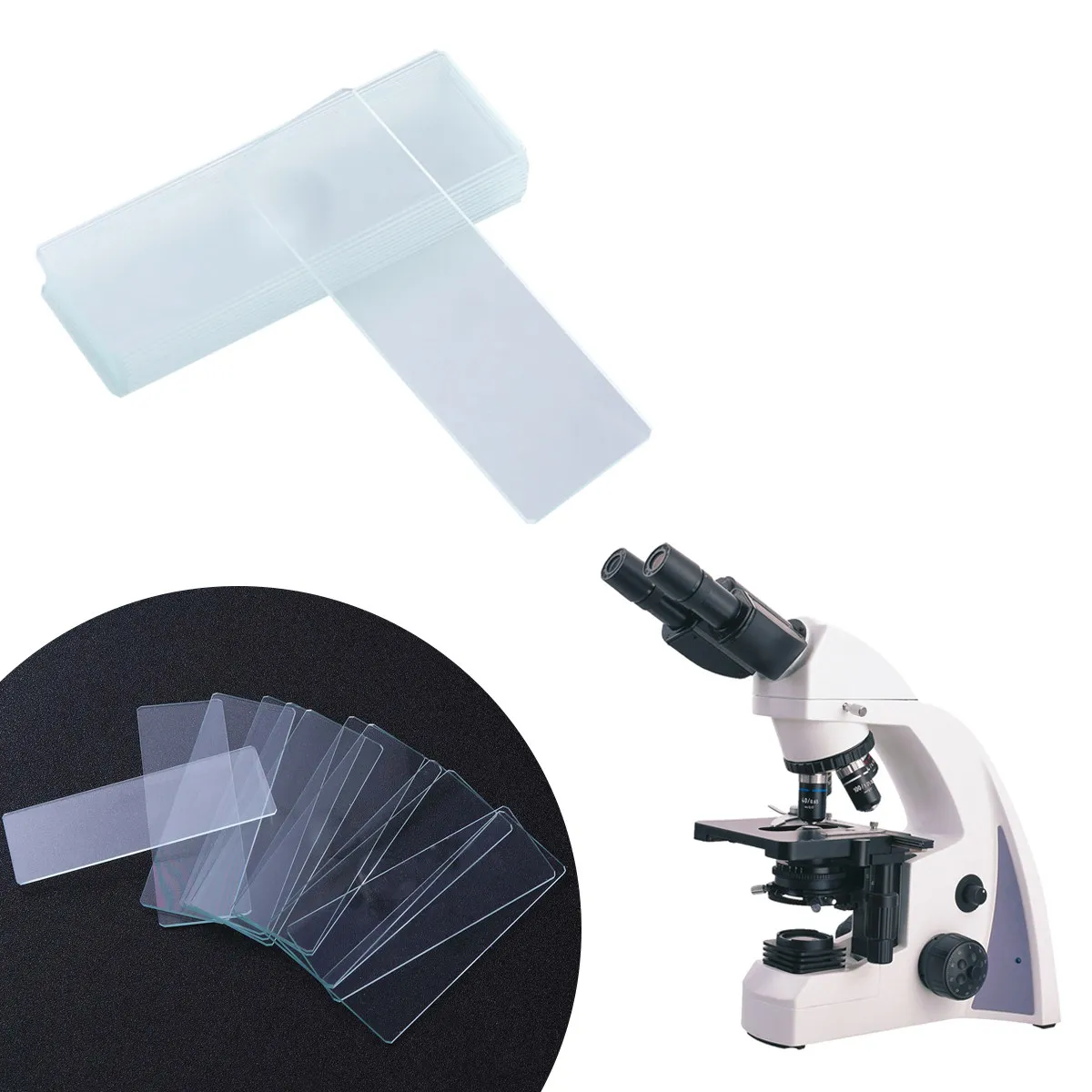 

12Pcs Microscope Optical Glass Precision Polished Edges for Biology Research Grade Specimens Coverslips Biological