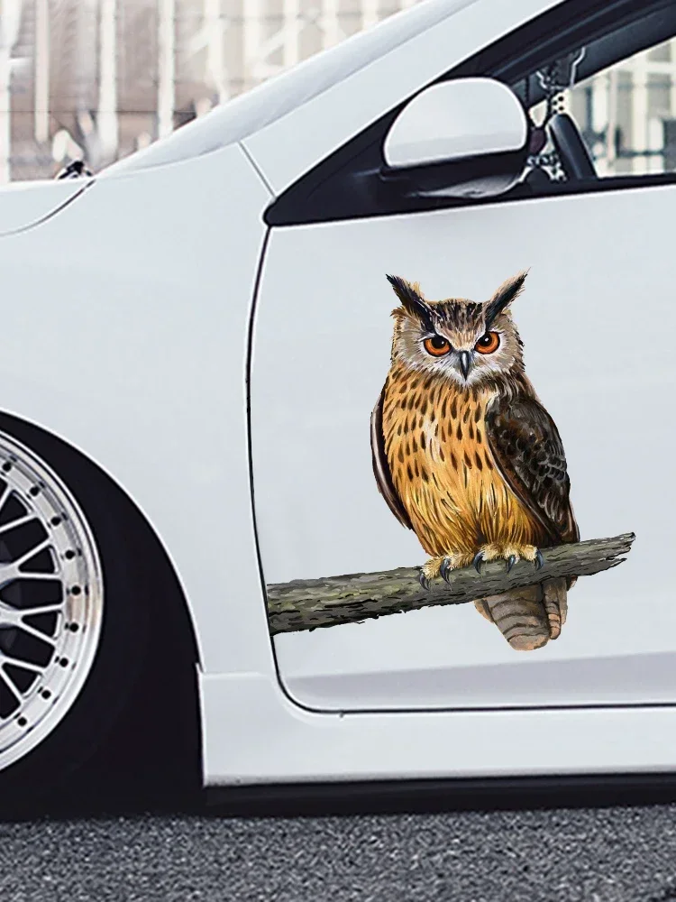 

Car stickers, owls on tree branches, waterproof decorations, bumpers, rear windows, motorcycles, and laptops