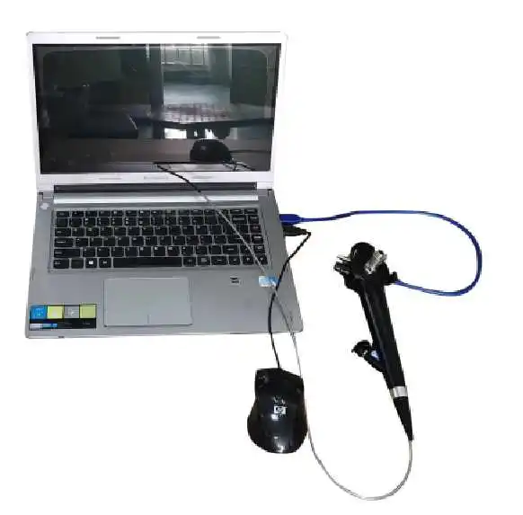 Portable Video flexible Fiber Rhinolaryngoscope price Medical Flexible  fiberoscope