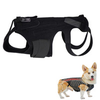Pet Spinal Protective Coat Back Brace Lumbar Laminated Support Plate Herniated Discs In Hind Limbs Paralysis Walking Weakness