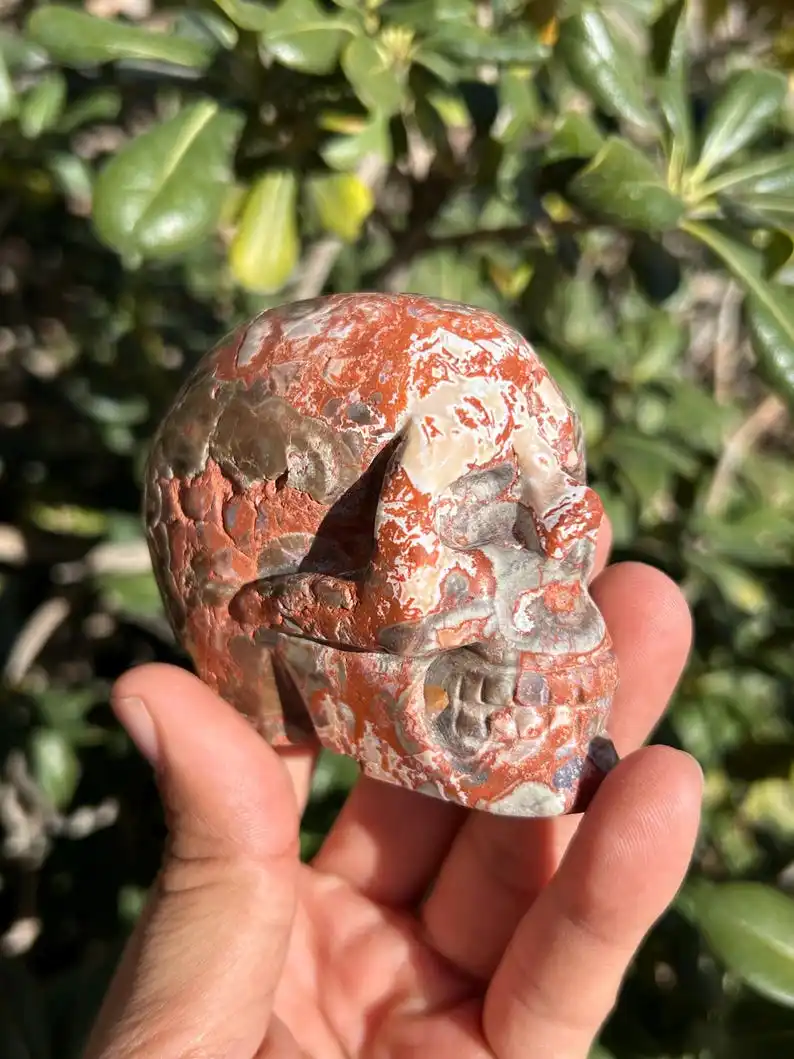 Money Agate Skull | Money Agate Carving | Money Agate Crystal ，Unique Specimen for Collectibles and Educational Use