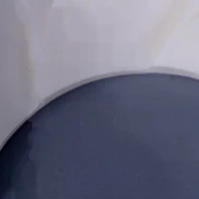 

1PCS Alumina Ceramic Grinding Disc Applicable To Coffee Machine EP2131/2136/2231/3246/2230/3146 Grinding Disc Accessories