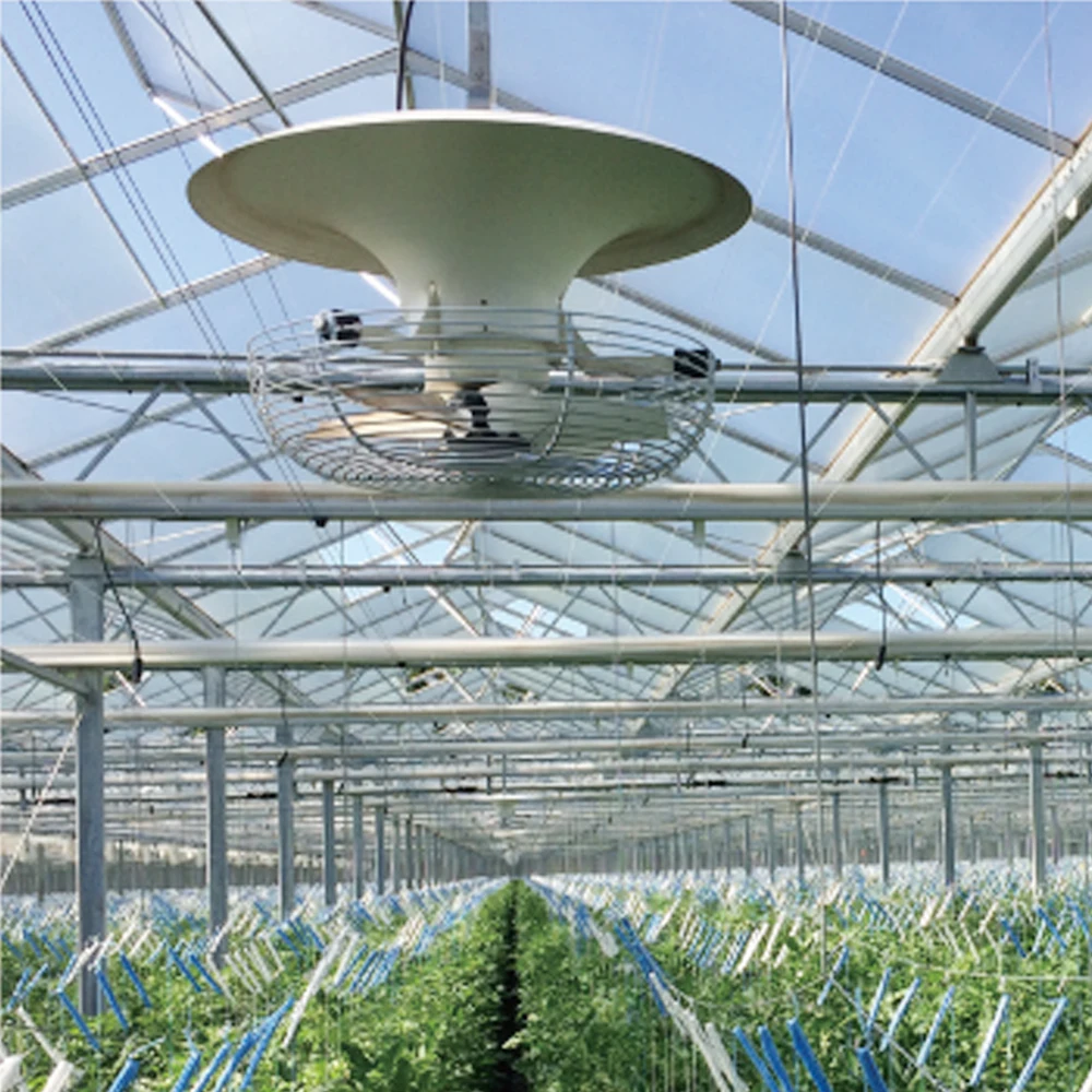 

Wholesale Ac Electric Industrial Ventilation 360 Degree Vertical Circulation Fan for Greenhouse Cultivation