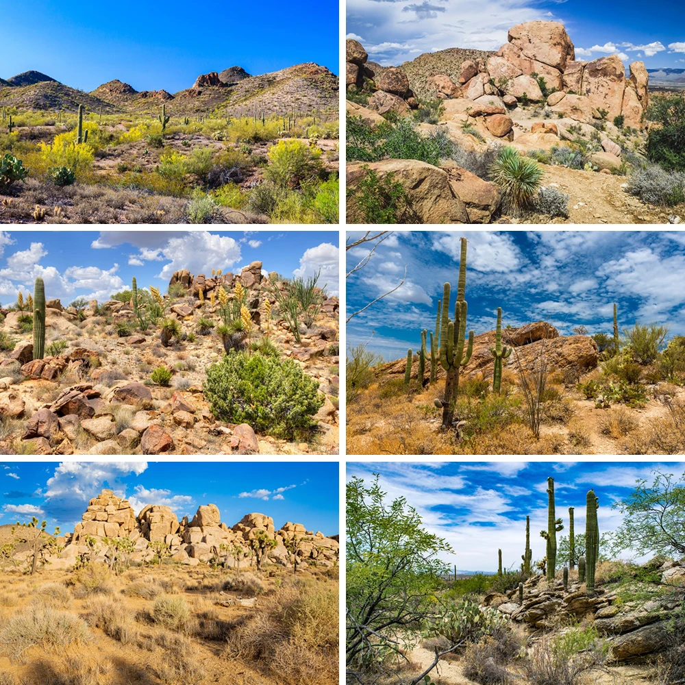 

Desert Oasis Shooting Background Cloth National Park Cactus Beautiful Mountains Gobi Desert Backdrop Canvas Party Decor Banner