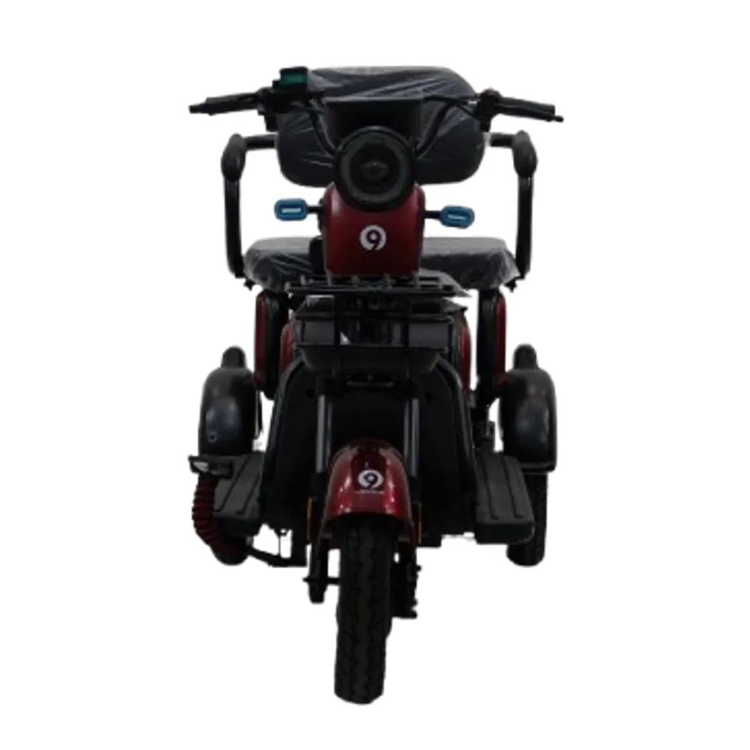 Modification Popular Three Wheel Electric Mobility Scooter 800W Low Speed Electric Scooter Long Range Two Seats for Adult