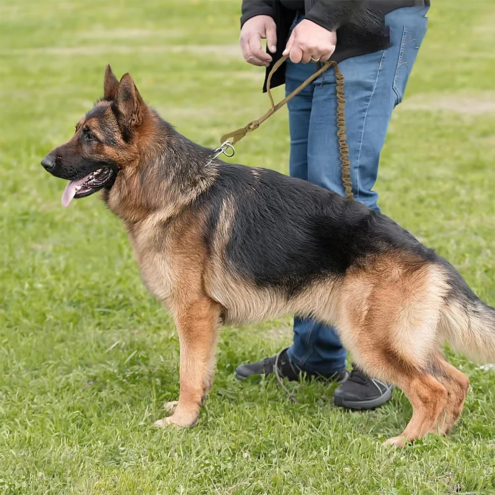 Adjustable Dog Leash 7
