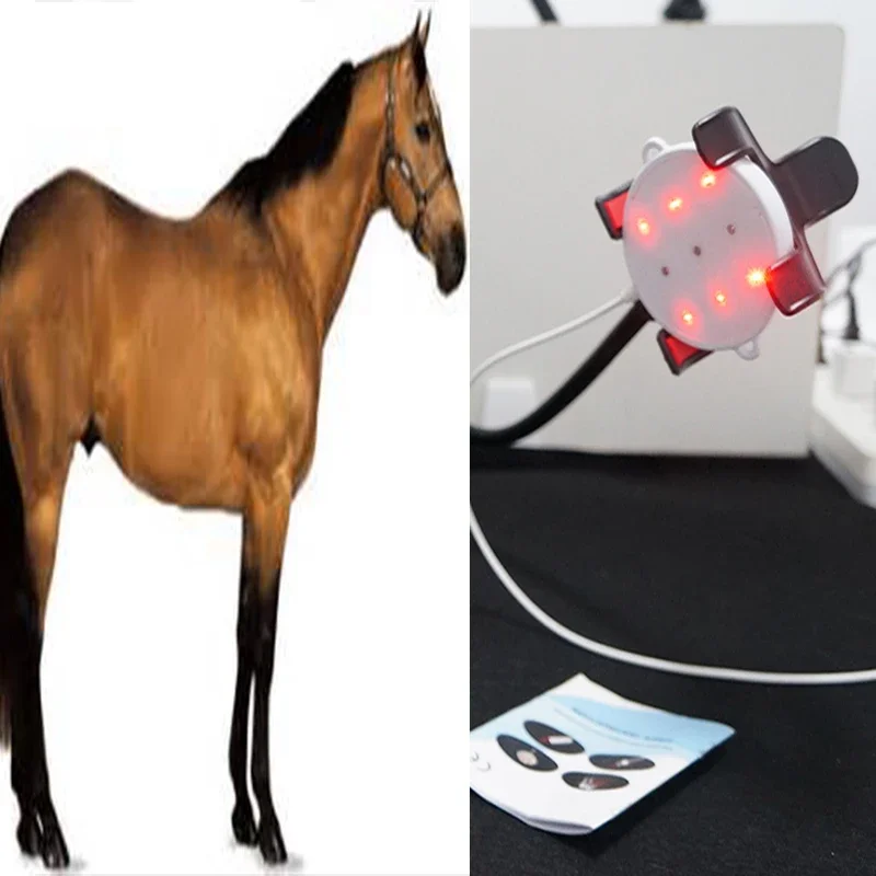 Laser Therapy Device for Body Pain Relief Keen Pain Shoulder Sport Injuries Arthritis For Human Pet Wounds Healing