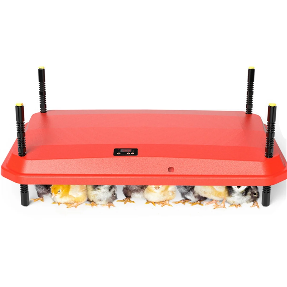 Super Sale Electric Chick Brooder Heating Plate Adjustable Height Chick Cage Heater Chicken Warmer US Plug