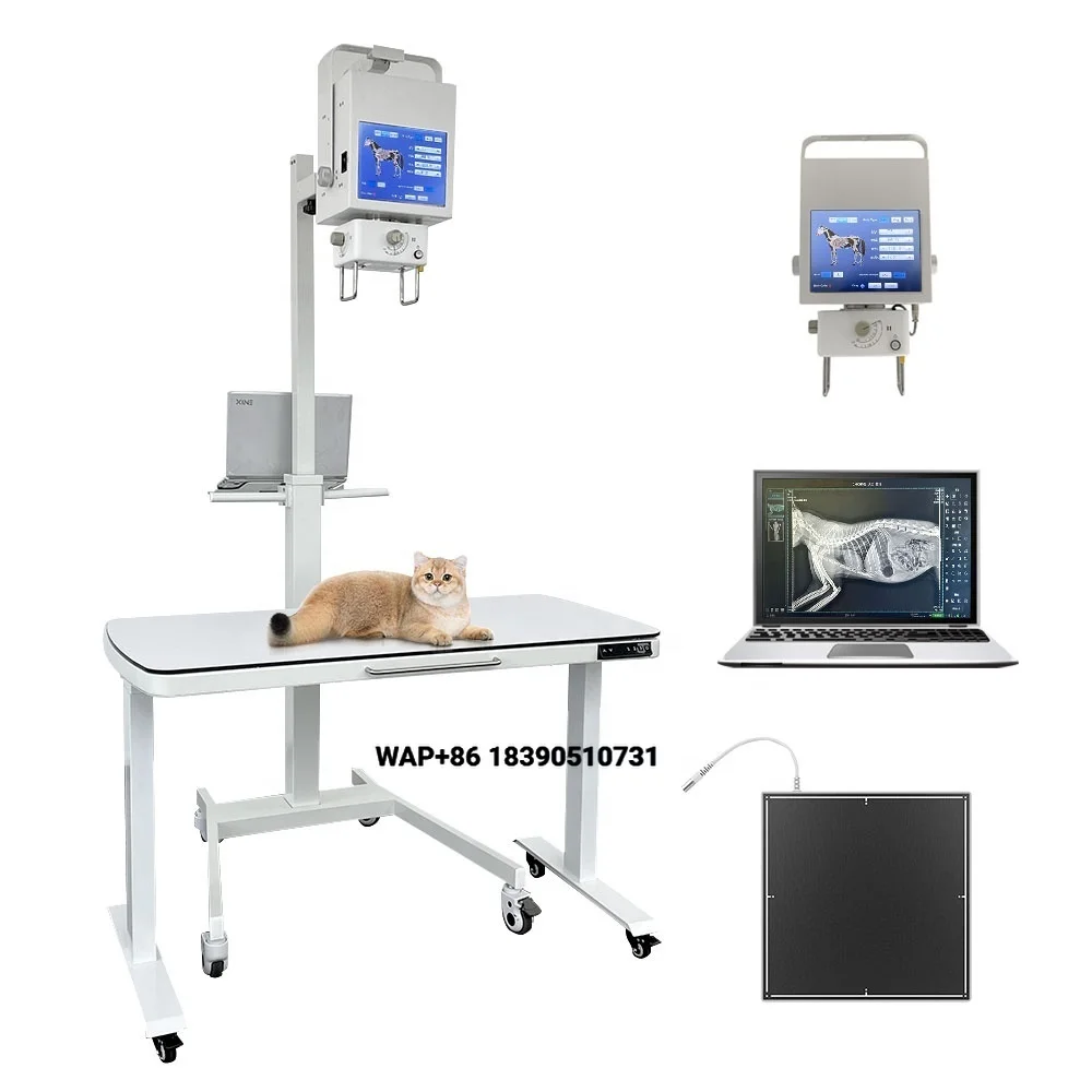 High Resolution Compact Veterinary DR Digital Radiography System Fast Image Processing Veterinary Diagnostic Equipment