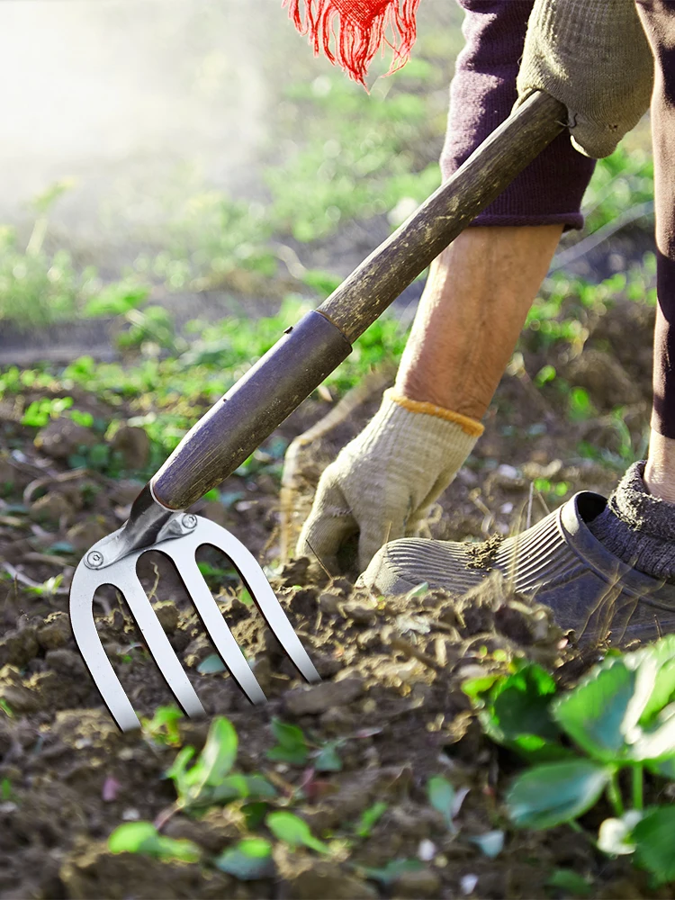 Rastrillo de acero de cuatro dientes para plantar verduras, herramientas de jardín para quitar malas hierbas, aflojamiento de suelo engrosado,