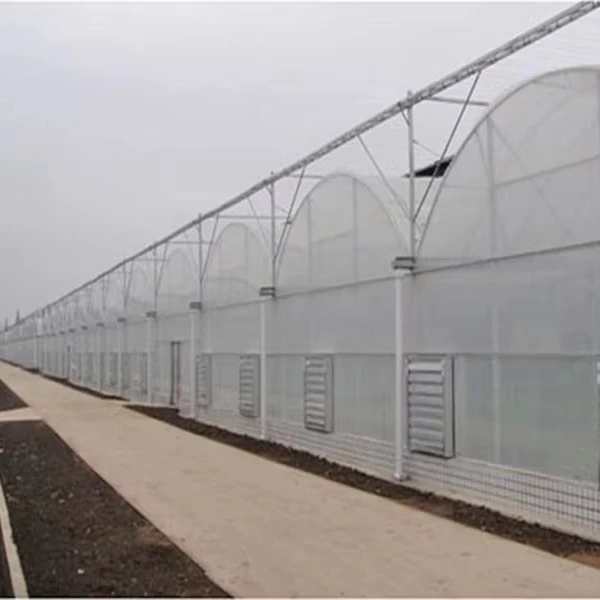 

Customized greenhouseIntelligent Agricultural Film Greenhouse with Vegetable Hydroponic System