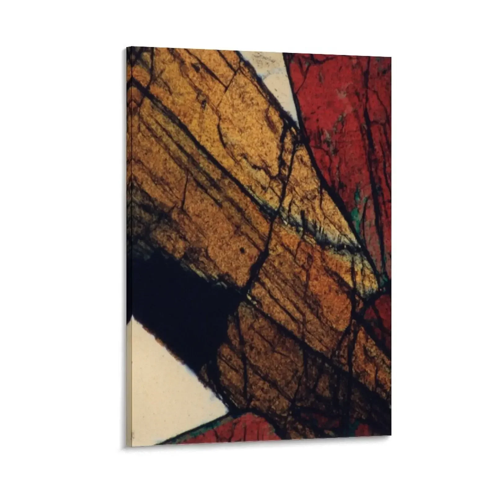 

Geological thin section mineral photograph of a magnified view of epidote blades set in quartz, Australian miner Canvas Painting