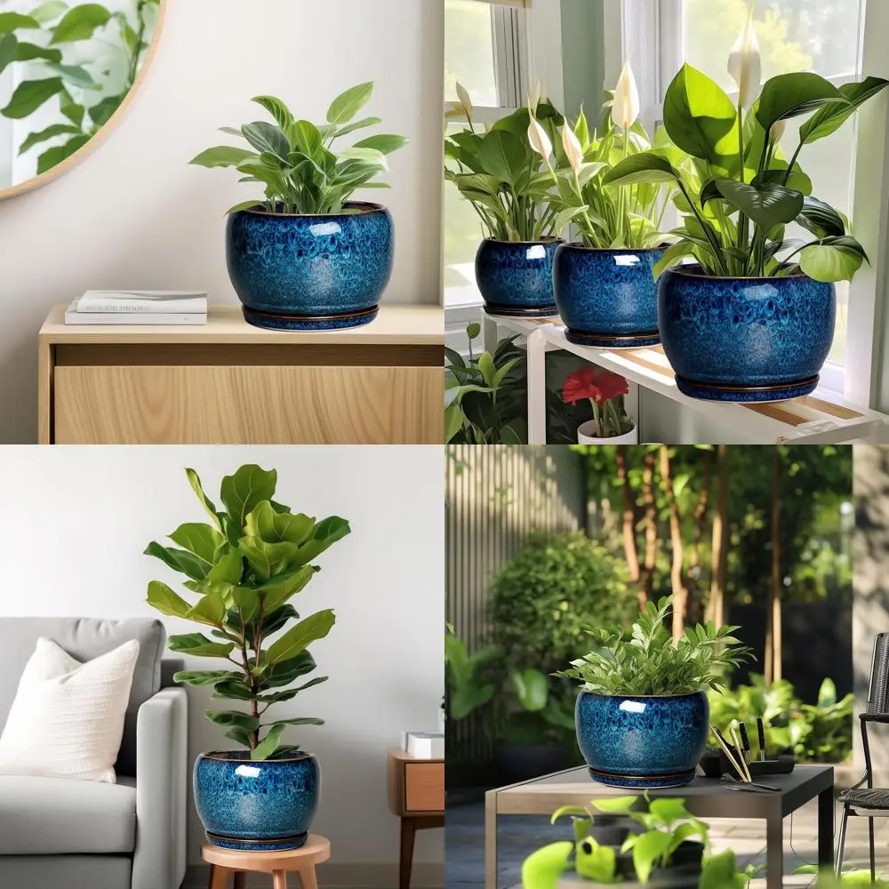 

SQOWL 10-дюймовый горшок для растений - Ceic плантатор с дренажным отверстием и блюдцем, декоративный горшок для растений или комнатными уличными растениями, круглый L