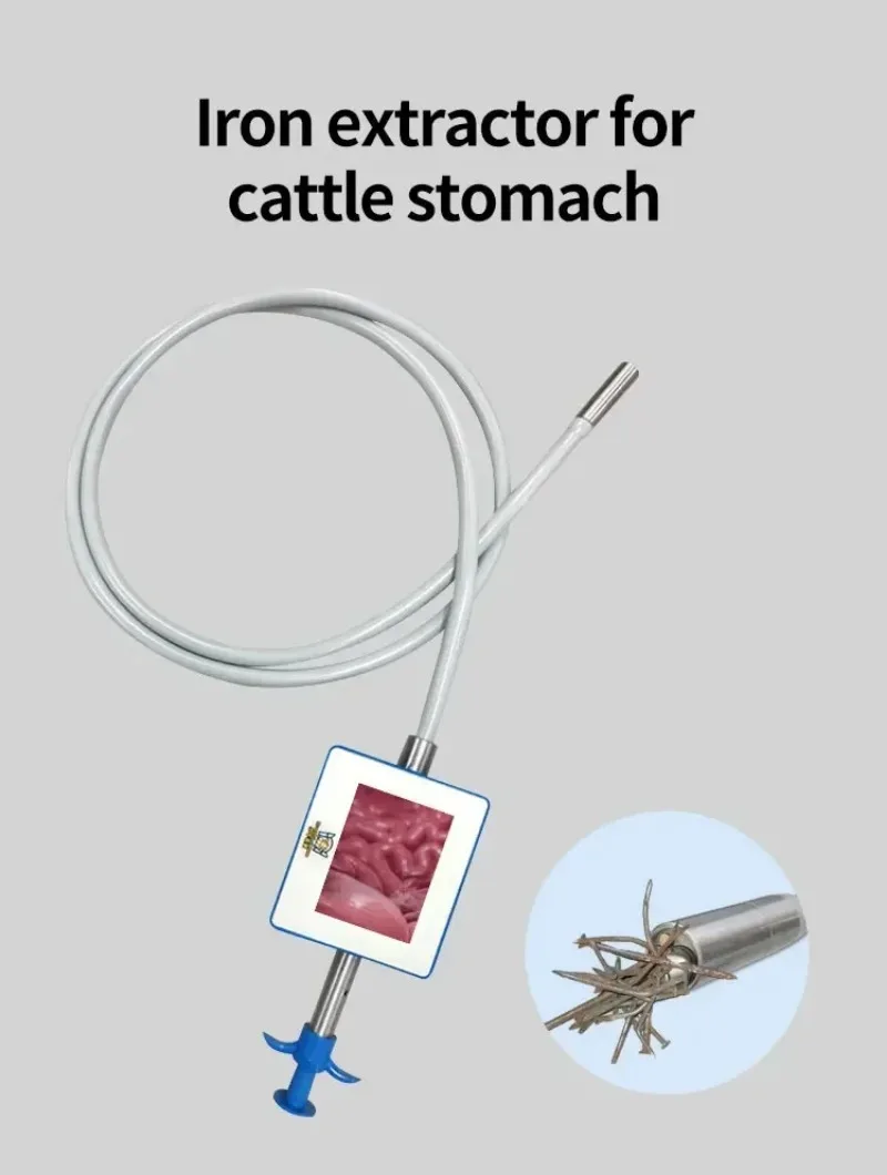 Large Force Strong Magnetic Visual Iron Extractor from Bovine Stomach Healthy Cattle Magnet Tool