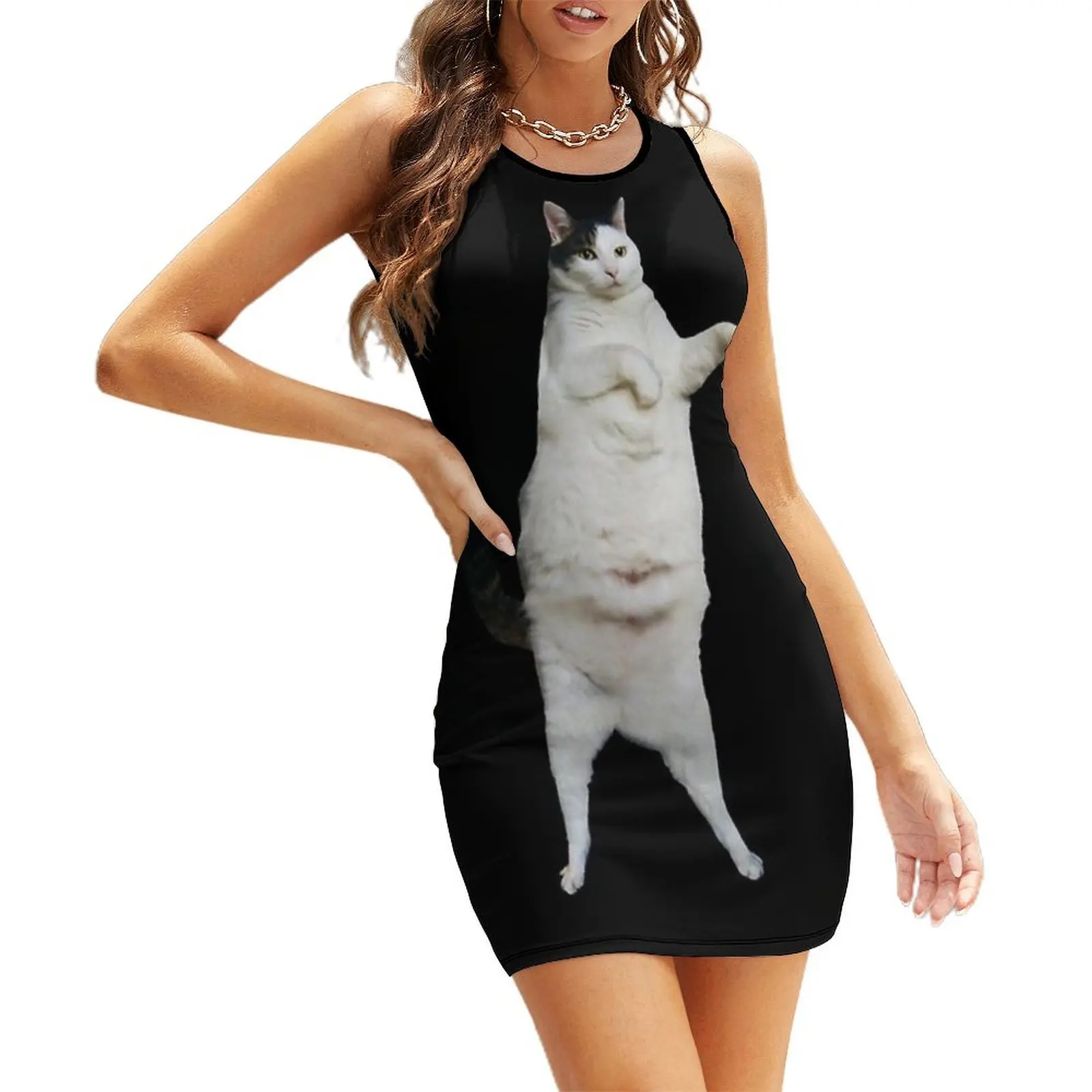 

Kitty Cat Dance Sleeveless Sundress Woman dresses summer dresses women 2025 woman dress luxury dresses