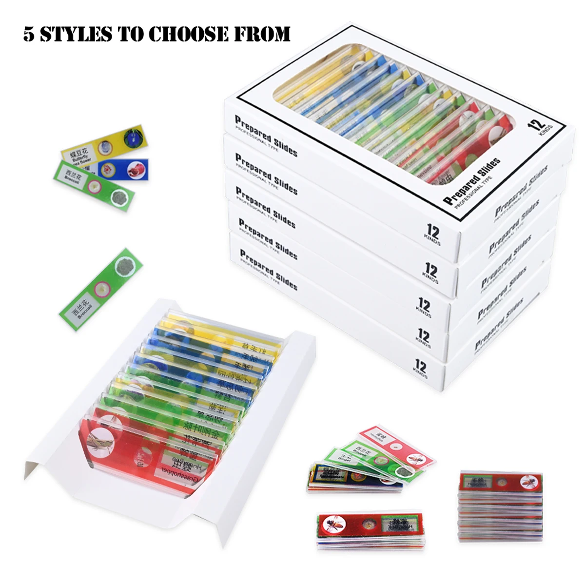 สไลด์กล้องจุลทรรศน์ 12 ชิ้น ตัวอย่างทางชีวภาพพลาสติก การศึกษาวิทยาศาสตร์ชีวภาพสําหรับกล้องจุลทรรศน์นักเรียน รูปแบบสุ่ม