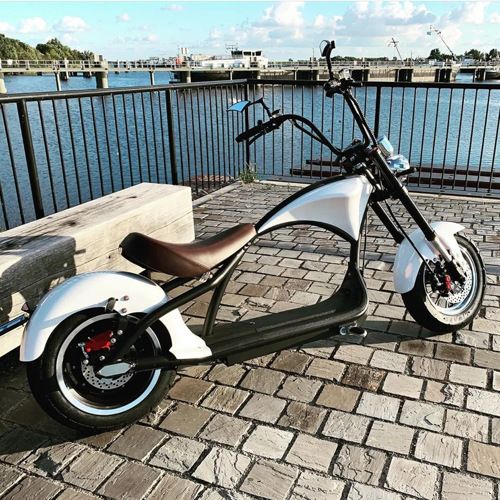 EEC 60V 2000W Motor Off-Road E Scooter Adults Electric Bike Citycoco 2 Wheel  Tire Scooter Motorcycles