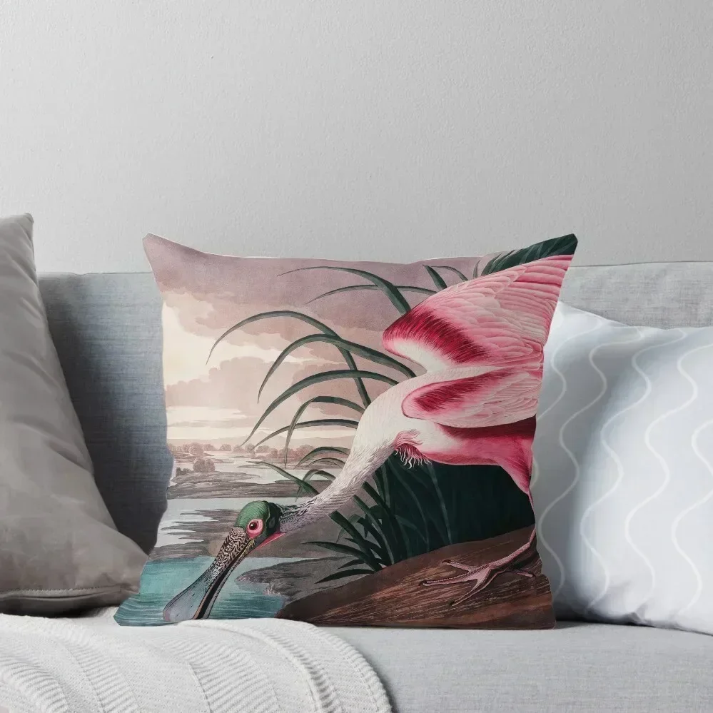 

Bird of America Bird, bird lover, america, beautiful Public domain painting by John James Audubon Throw Pillow