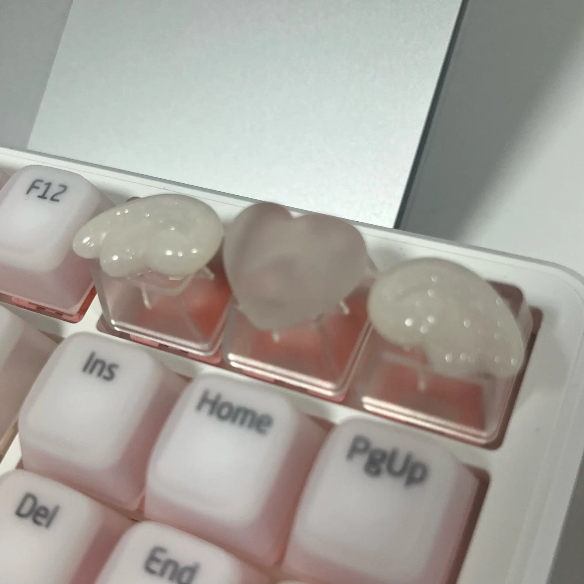실물 포토 리뷰