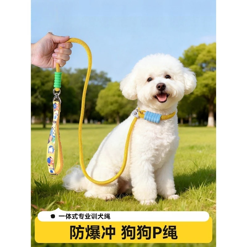 Durable Pet Training Traction Rope Anti Tangle Design Buffer Dog Leash for Puppies Medium Large Breeds Like Bichon Walking
