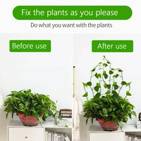100pcs-Home Garden Plant Climbing Wall Fixture Clips Rattan Vine Fixer Self-Adhesive Plant Climbing Wall Fixed Buckle Hook 5