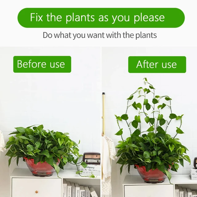 100pcs-Home Garden Plant Climbing Wall Fixture Clips Rattan Vine Fixer Self-Adhesive Plant Climbing Wall Fixed Buckle Hook 5 100pcs-Home Garden Plant Climbing Wall Fixture Clips Rattan Vine Fixer Self-Adhesive Plant Climbing Wall Fixed Buckle Hook 5