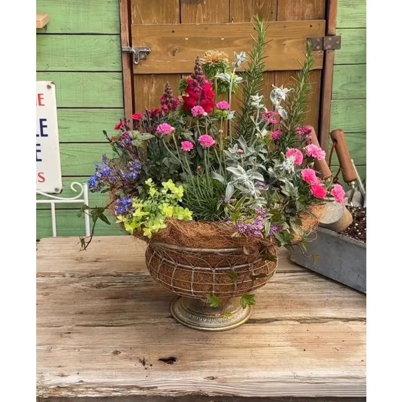Garden, Garden Grocery Solid Iron Trophy Flower Pot Combination Pot Plant Planting Pot
